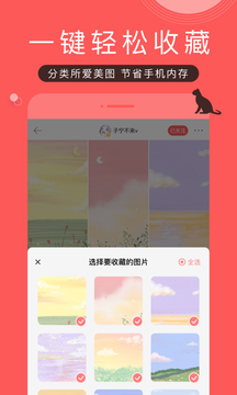 堆糖截图4