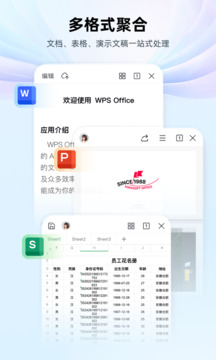 WPS Office截图5