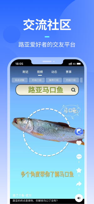 路了个鱼iPhone版截图3