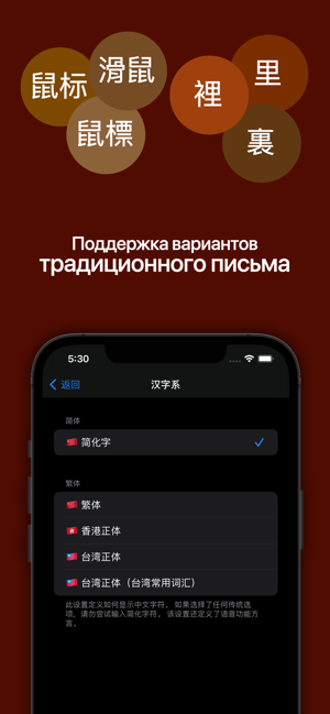 俄汉词典 大БКРС|БРуКС 8 in 1 俄汉俄词典iPhone版截图4