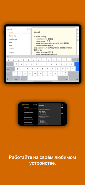 俄汉词典 大БКРС|БРуКС 8 in 1 俄汉俄词典iPhone版截图10