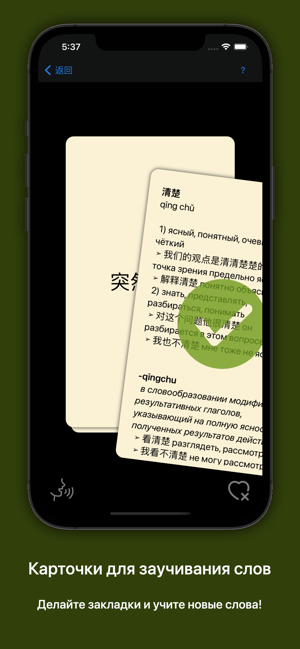 俄汉词典 大БКРС|БРуКС 8 in 1 俄汉俄词典iPhone版截图7