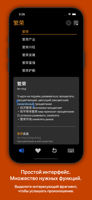 俄汉词典 大БКРС|БРуКС 8 in 1 俄汉俄词典iPhone版截图2