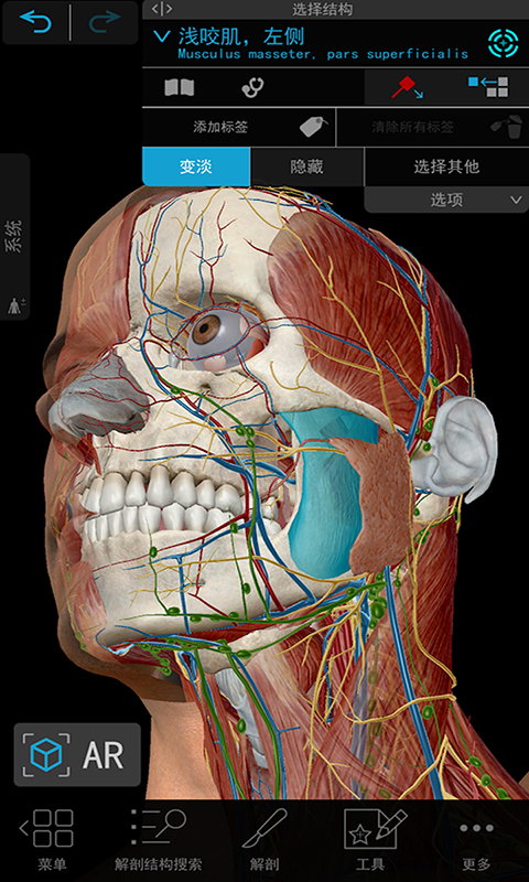 3D人体解剖鸿蒙版截图1