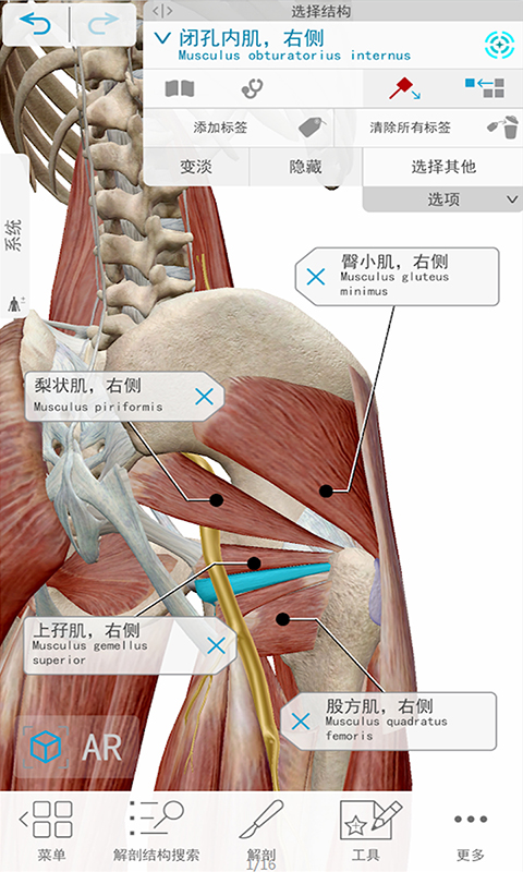 3D人体解剖鸿蒙版截图2