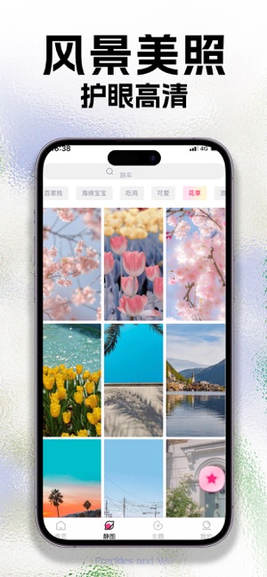 动态壁纸iPhone版截图9