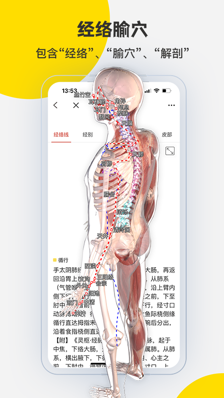 3DBody解剖鸿蒙版截图4