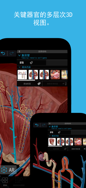 2025人体解剖学图谱iPhone版截图3