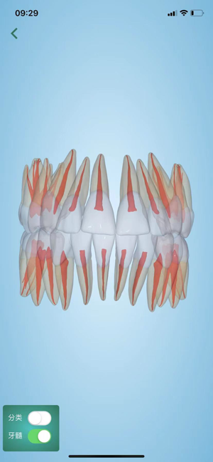 口腔图谱iPhone版截图2