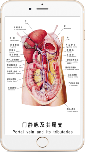 全套人体解剖iPhone版截图3