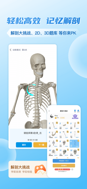 维萨里3D解剖iPhone版截图3