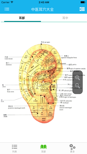 中医耳穴大全iPhone版截图2