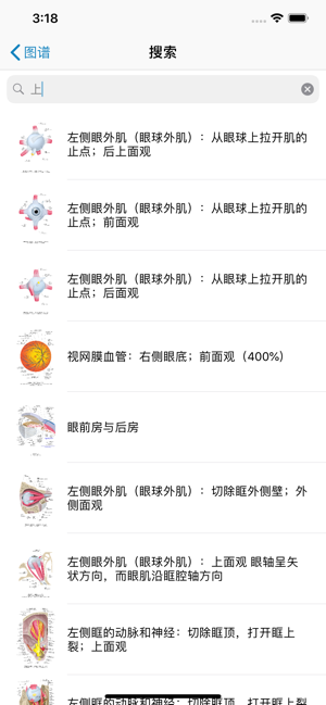 眼部解剖图谱iPhone版截图5