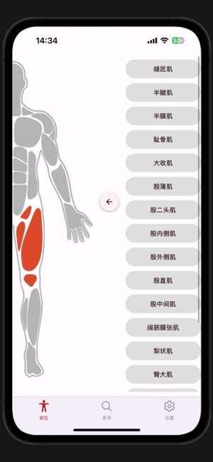 疼痛触发点iPhone版截图2