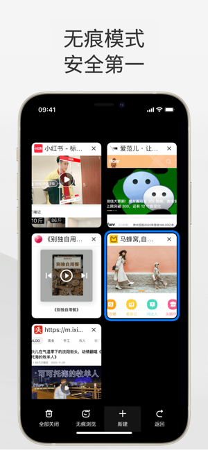 360浏览器iPhone版截图7