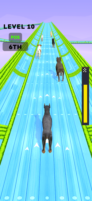 Dog Racing Master: Pet GamesiPhone版截图2