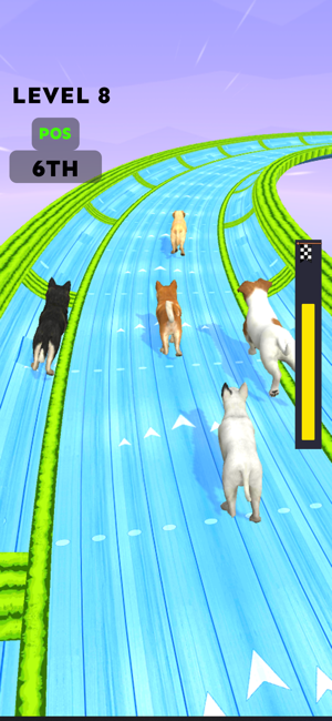 Dog Racing Master: Pet GamesiPhone版截图4