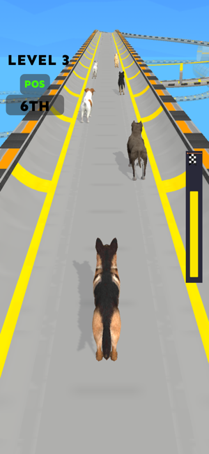 Dog Racing Master: Pet GamesiPhone版截图3