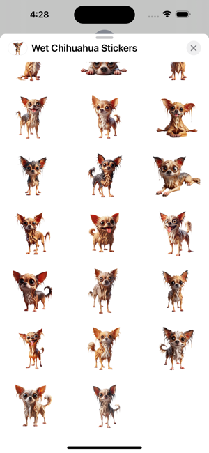 Wet Chihuahua StickersiPhone版截图3