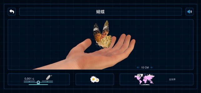 昆虫和蜘蛛儿童教育AR游戏iPhone版截图5