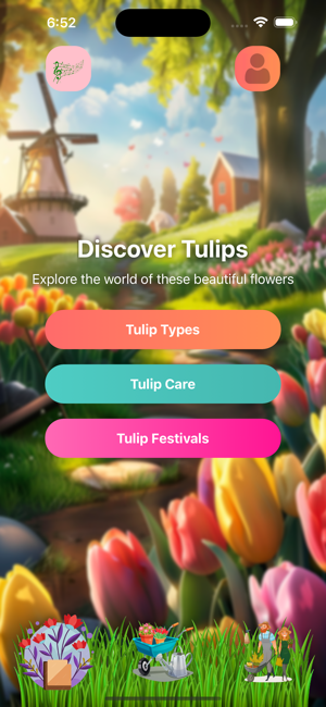 Tulip Quiz: Discover HollandiPhone版截图2