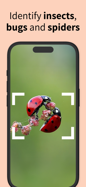 Insect Identifier Bug ID²iPhone版截图1