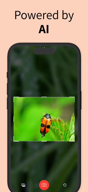 Insect Identifier Bug ID²iPhone版截图3