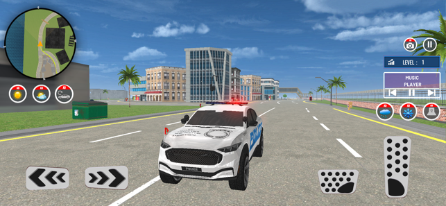 City Police Car Chase GamesiPhone版截图2