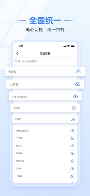 电子税务局iPhone版截图2