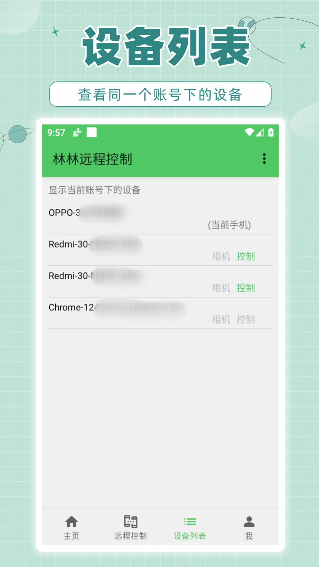 林林远程控制截图5