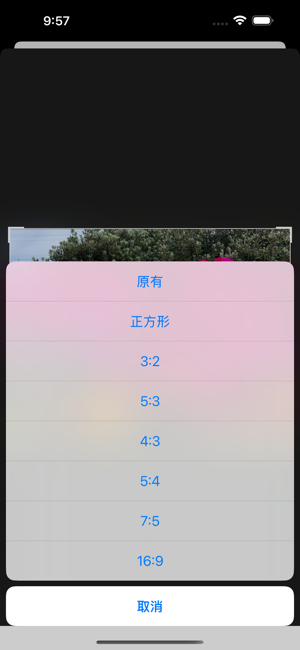 裁图大师iPhone版截图2