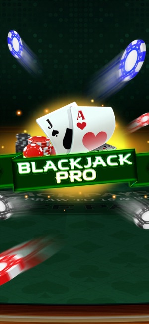 BlackjackPro—21CardGamesiPhone版截图3