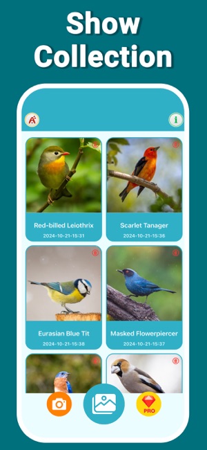 Bird Identifier WingIDiPhone版截图3