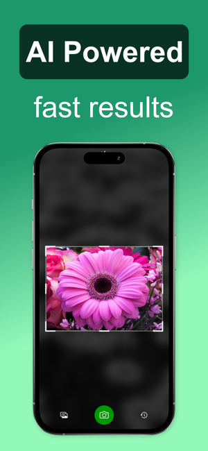 Flower Identifier: ID ScanneriPhone版截图3