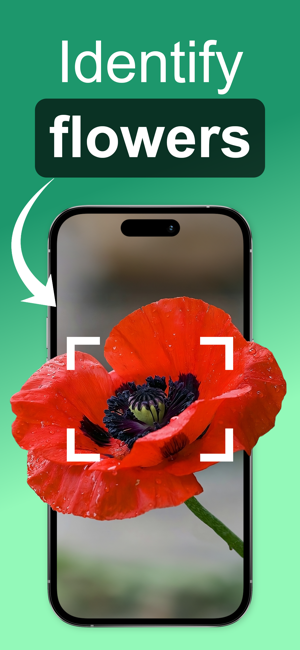 Flower Identifier: ID ScanneriPhone版截图1