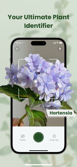 MyPlant: Identify & CareiPhone版截图2