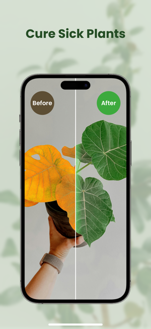 MyPlant: Identify & CareiPhone版截图5